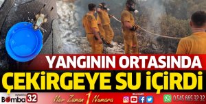 Yangının ortasında çekirgeye su içirdi