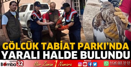Yaralı halde bulundu