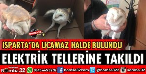 YARALI HALDE BULUNDU TEDAVİ EDİLDİ