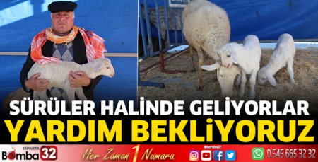 Yardım bekliyoruz