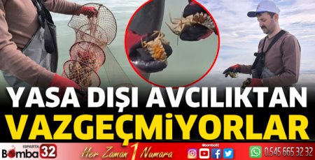 Yasa dışı avcılıktan vazgeçmiyorlar