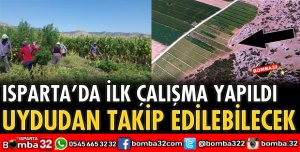YASA DIŞI KENEVİRE UYDUDAN TAKİP
