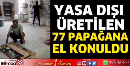 Yasa dışı üretilen 77 papağana el konuldu
