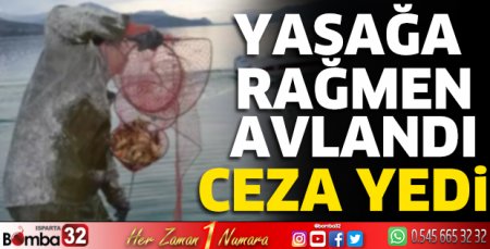Yasağa rağmen avlandı