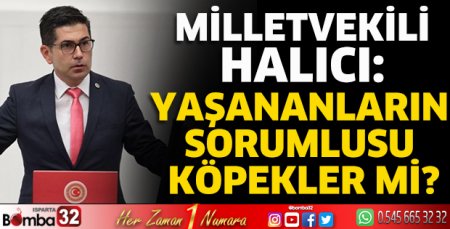 Yaşananların sorumlusu köpekler mi?