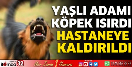 Yaşlı adamı köpek ısırdı hastaneye kaldırıldı 