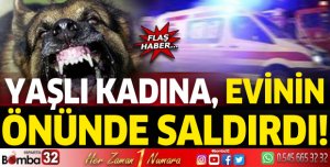 Yaşlı kadına evinin önünde köpek saldırdı