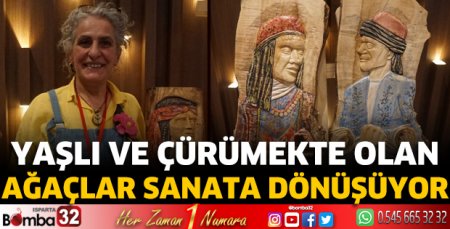 Yaşlı ve çürümekte olan ağaçlar sanata dönüşüyor