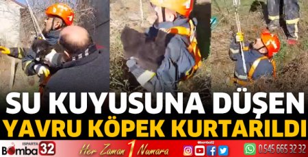 Yavru köpek kurtarıldı 