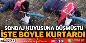 Yavru köpek kurtarıldı