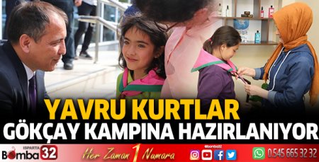 Yavru kurtlar Gökçay kampına hazırlanıyor