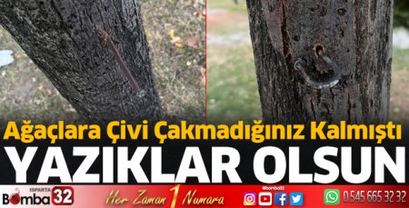 Yazıklar olsun 