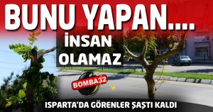 YAZIKLAR OLSUN BUNU YAPAN İNSAN OLAMAZ !