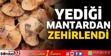 Yediği mantardan zehirlendi 