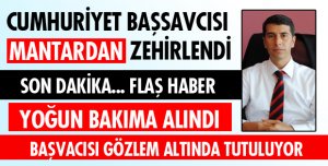 YEDİĞİ MANTARDAN ZEHİRLENDİ