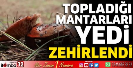 Yediği mantardan zehirlendi