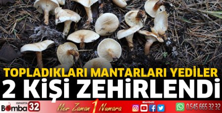 Yedikleri mantardan zehirlendiler