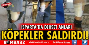 YEDİŞEHİTLERDE KÖPEK SALDIRISI
