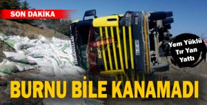 Yem Yüklü Tır Devrildi