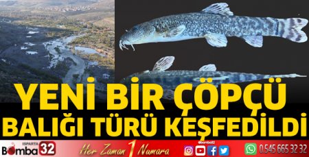 Yeni bir Çöpçü Balığı türü keşfedildi