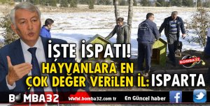 YENİ YUVALARINA KAVUŞTULAR