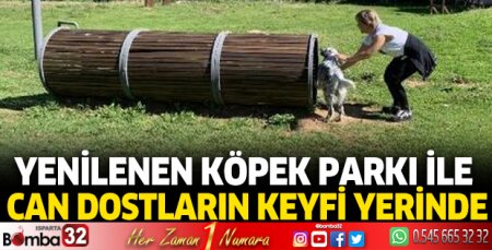 Yenilenen köpek parkı ile can dostların keyfi yerinde