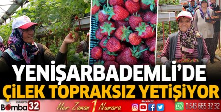 Yenişarbademli’de çilek topraksız yetişiyor