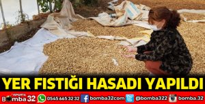 YER FISTIĞI HASADI