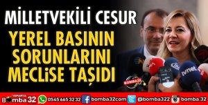 YEREL BASININ SORUNLARINI MECLİSE TAŞIDI