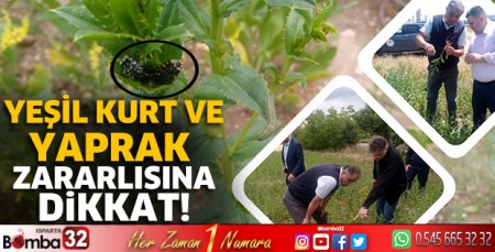 Yeşil kurt ve yaprak zararlısına dikkat