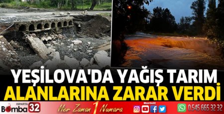Yeşilova'da yağış tarım alanlarına zarar verdi