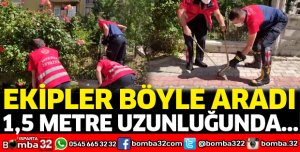 Yılan operasyonu