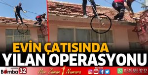 Yılan operasyonu
