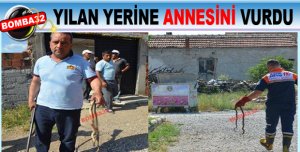 YILAN YERİNE ANNESİNİ VURDU
