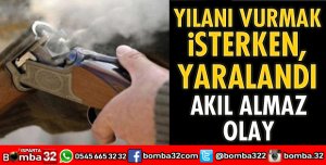 YILANI VURMAK İSTERKEN YARALANDI