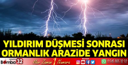 Yıldırım düşmesi sonrası ormanlık arazide yangın
