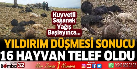 Yıldırım düşmesi sonucu 16 küçükbaş hayvan telef oldu