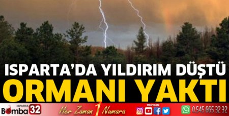 Yıldırım düşmesi sonucu orman yangını çıktı