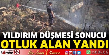 Yıldırım düşmesi sonucu otluk alan yandı