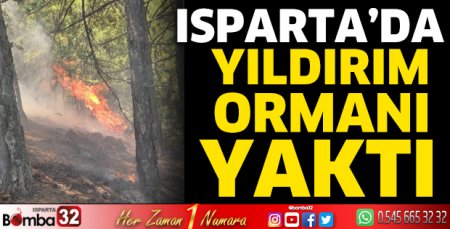 Yıldırım ormanı yaktı 