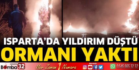 Yıldırım ormanı yaktı 