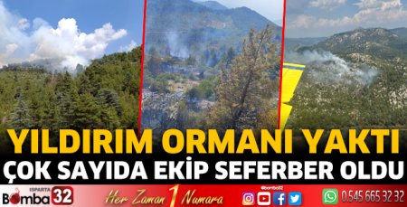Yıldırım ormanı yaktı
