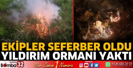 Yıldırım ormanı yaktı