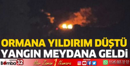 Yıldırım ormanlık alanda yangın çıkardı