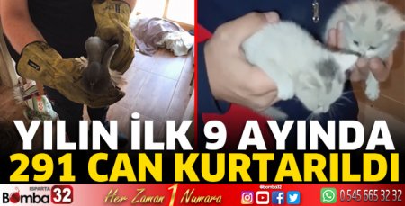 Yılın ilk 9 ayında 291 can kurtarıldı 