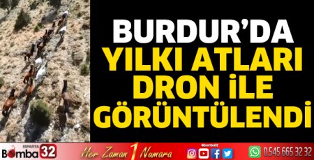 Yılkı atları dron ile görüntülendi