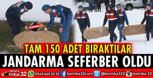 YILKI ATLARI İÇİN SAMAN BALYALARI BIRAKILDI