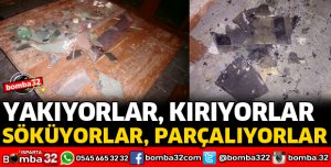 YİNE PARK YİNE TAHRİP