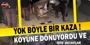 YOK BÖYLE BİR KAZA 