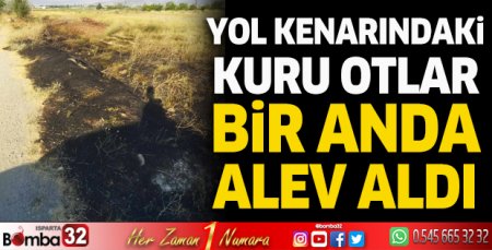 Yol kenarındaki kuru otlar bir anda alev aldı